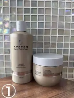 2026年最新】SYSTEM PROFESSIONAL シャンプーの人気アイテム - メルカリ