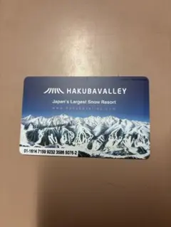 2026年最新】リフト券 白馬岩岳の人気アイテム - メルカリ