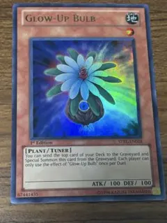 2026年最新】グローアップバルブ 英語の人気アイテム - メルカリ