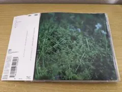 2026年最新】chouchou merged syrups.の人気アイテム - メルカリ