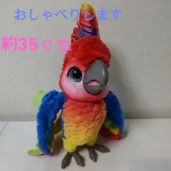 2026年最新】ファーリアル ショーバードの人気アイテム - メルカリ