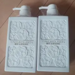 2026年最新】薬酵泉 ボディソープの人気アイテム - メルカリ