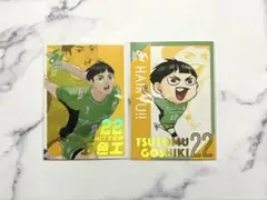 2026年最新】オールスターコレクション ハイキューの人気アイテム