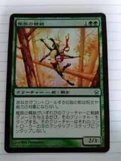 藪跳ねアヌーリッド 2枚 - メルカリ