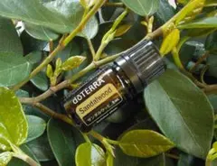 2026年最新】サンダルウッド ドテラの人気アイテム - メルカリ