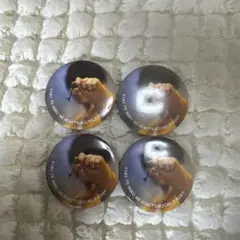 2026年最新】るぅと 缶バッジ 実写の人気アイテム - メルカリ