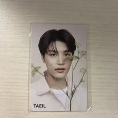 2025年最新】テイル トレカ nctの人気アイテム - メルカリ