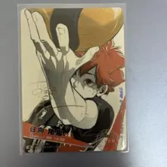 2026年最新】バボカ 日向 サインの人気アイテム - メルカリ