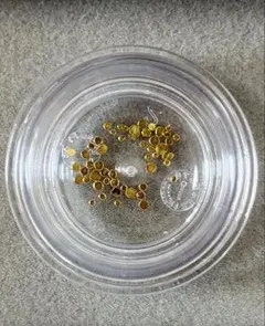 2026年最新】土肥金山 砂金の人気アイテム - メルカリ