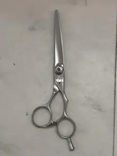 2026年最新】fuji シザーの人気アイテム - メルカリ