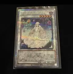 2026年最新】ガーデン・ローズ・メイデン 25thの人気アイテム - メルカリ