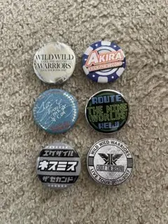 2026年最新】ピンズ・ピンバッジ・缶バッジの人気アイテム - メルカリ