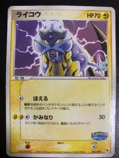 ライコウ ポケパークプレミアムファイル 005/009 - メルカリ