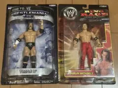 2026年最新】ショーン・マイケルズの人気アイテム - メルカリ