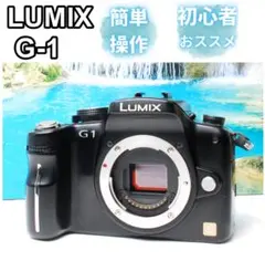 2026年最新】LUMIX G1の人気アイテム - メルカリ