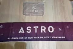 2026年最新】astro スローガン 公式の人気アイテム - メルカリ