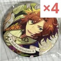 2026年最新】三毛縞斑 缶バッジ 中国の人気アイテム - メルカリ