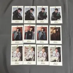 2026年最新】うらたぬき チェキの人気アイテム - メルカリ