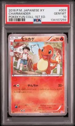 2026年最新】ヒトカゲ psa10の人気アイテム - メルカリ