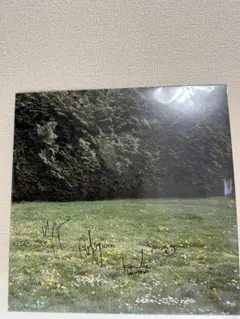 2026年最新】ghosts ミツメの人気アイテム - メルカリ