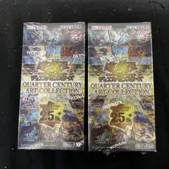 2026年最新】クォーターセンチュリーアートコレクション boxの人気