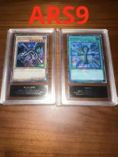 遊戯王 ARS9 WCS2019 真紅眼の黒竜 死者蘇生 ミレシク 日本語表記
