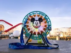 2026年最新】カリフォルニアディズニー ポップコーンバケットの人気