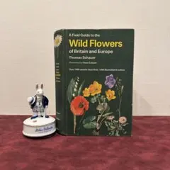 2026年最新】植物図鑑 洋書の人気アイテム - メルカリ