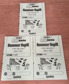 2026年最新】Sapix 5年 夏期講習の人気アイテム - メルカリ