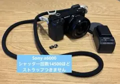 2026年最新】α6000 バッテリーの人気アイテム - メルカリ