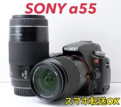 2026年最新】sony α55 レンズの人気アイテム - メルカリ