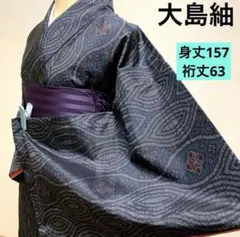 2026年最新】大島の人気アイテム - メルカリ