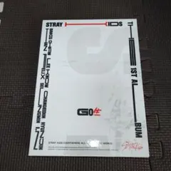 2026年最新】straykids アルバム go生の人気アイテム - メルカリ