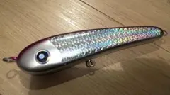 2026年最新】ローカルスタンダード サージベイト170の人気アイテム