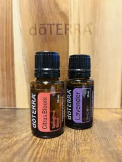 2026年最新】シトラスブルームの人気アイテム - メルカリ