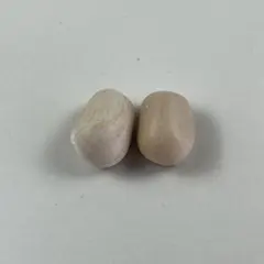 2026年最新】エンセファラルトス ホリダスの人気アイテム - メルカリ