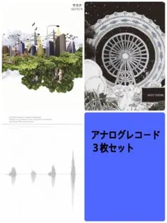 2026年最新】アナログ サカナクションの人気アイテム - メルカリ