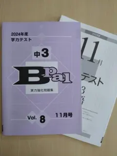 2026年最新】実力テスト 中3の人気アイテム - メルカリ