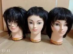 2026年最新】カットウィッグ ユーカリの人気アイテム - メルカリ