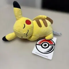 2026年最新】ポケモンセンター ぬいぐるみ タグ付きの人気アイテム