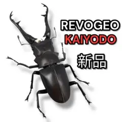 2026年最新】リボジオ ギラファノコギリクワガタの人気アイテム - メルカリ