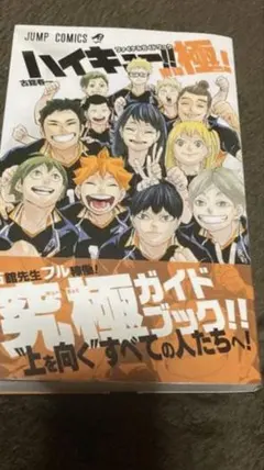 2026年最新】ファイナルガイドブック排球極の人気アイテム - メルカリ