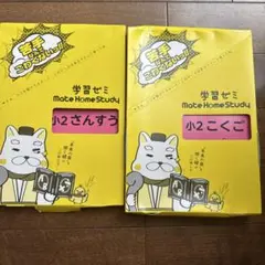 2026年最新】メイトホームスタディの人気アイテム - メルカリ