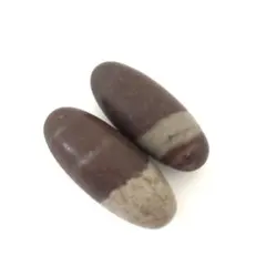 2026年最新】シバリンガムの人気アイテム - メルカリ