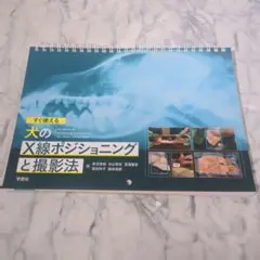 2026年最新】x線撮影のポジショニングの人気アイテム - メルカリ