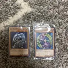 2026年最新】青眼の白龍 大会の人気アイテム - メルカリ