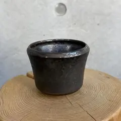 2026年最新】鶴仙園の人気アイテム - メルカリ