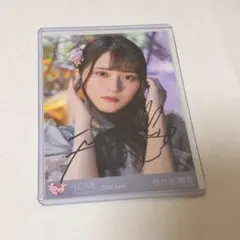 2026年最新】佐々木舞香 あの子コンプレックス 直筆の人気アイテム