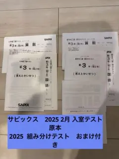 2026年最新】sapix 入室テスト 新2年の人気アイテム - メルカリ