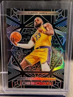 2026年最新】レブロンジェームズの人気アイテム - メルカリ